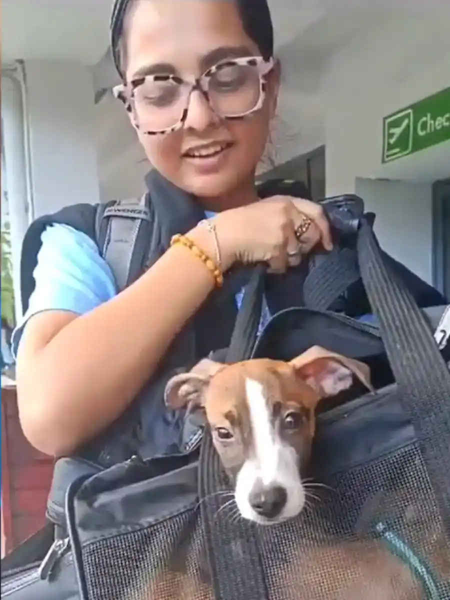 2-animal-rescue-dominica-013