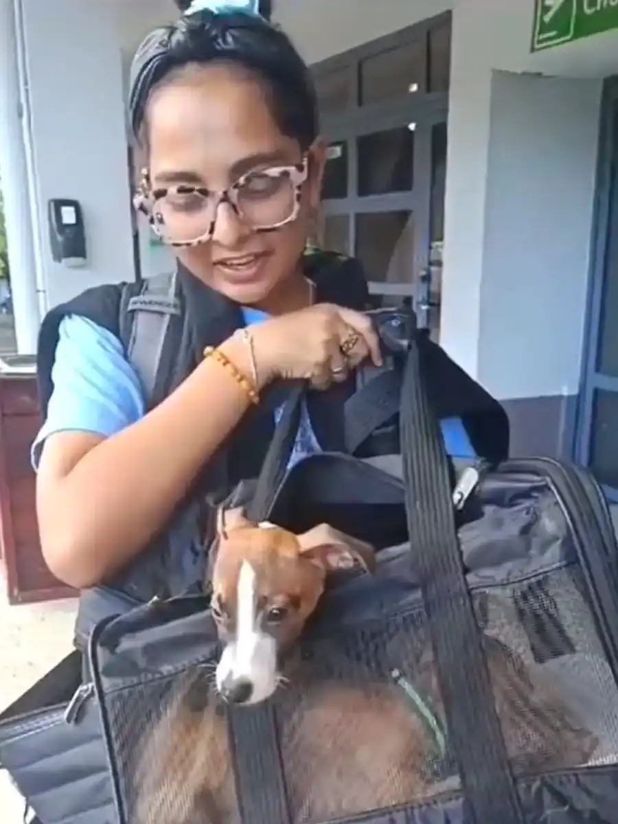 2-animal-rescue-dominica-015