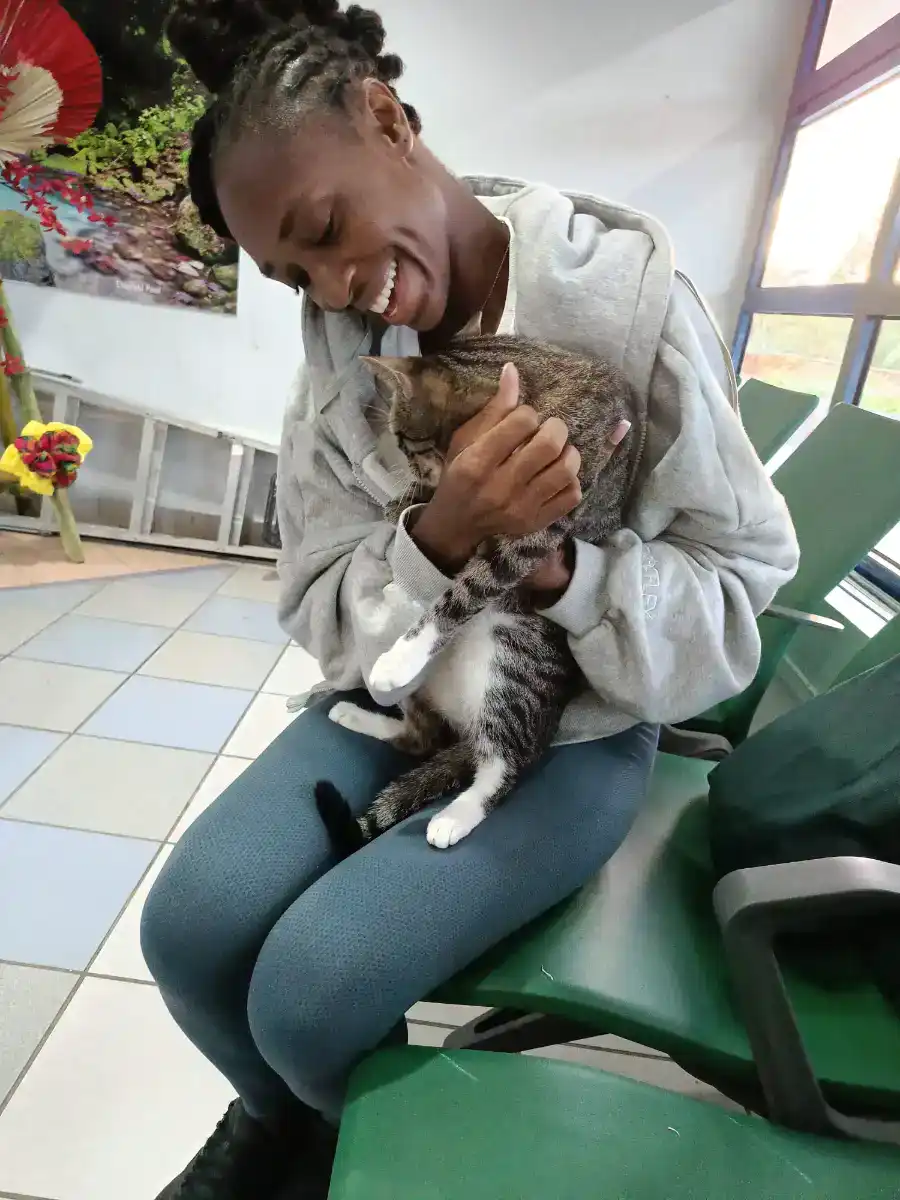 charme-animal-rescue-dominica-003
