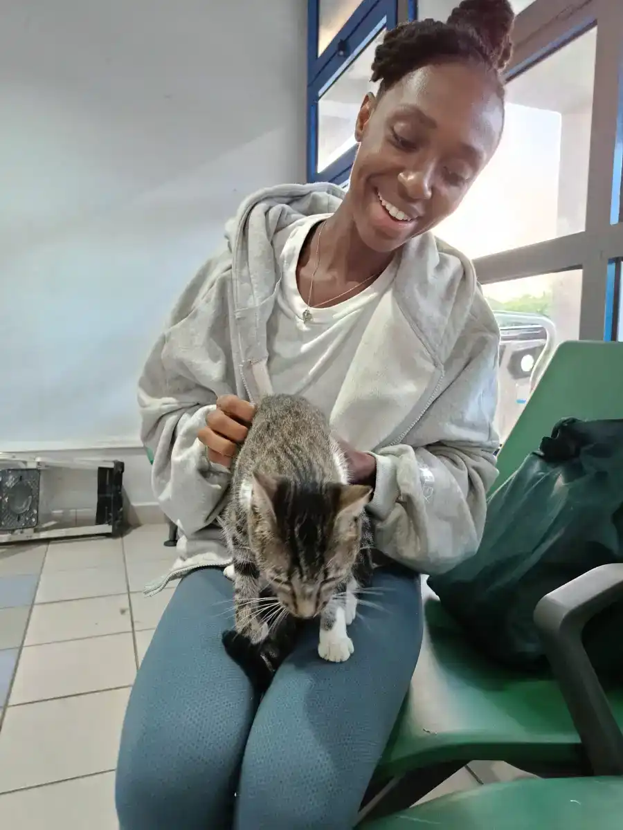 charme-animal-rescue-dominica-005