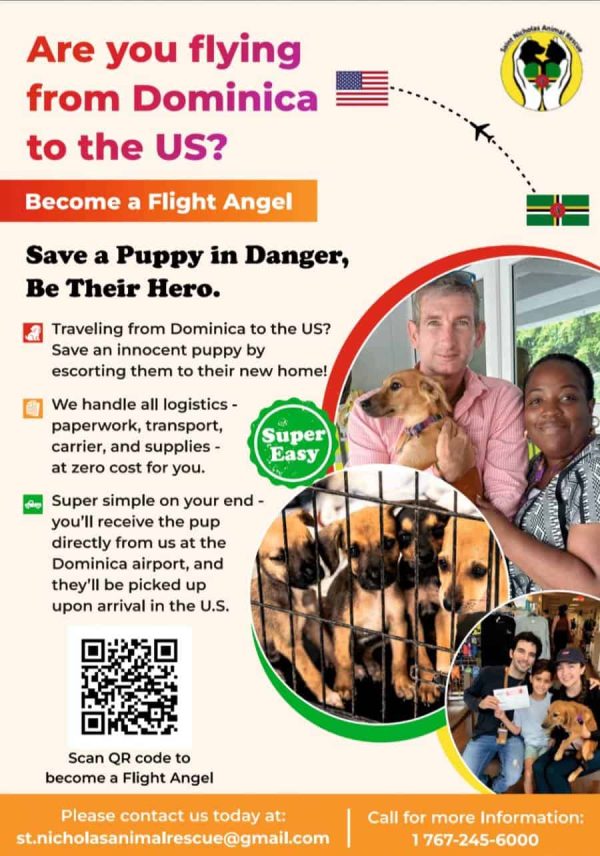 animals_for_rescue-070
